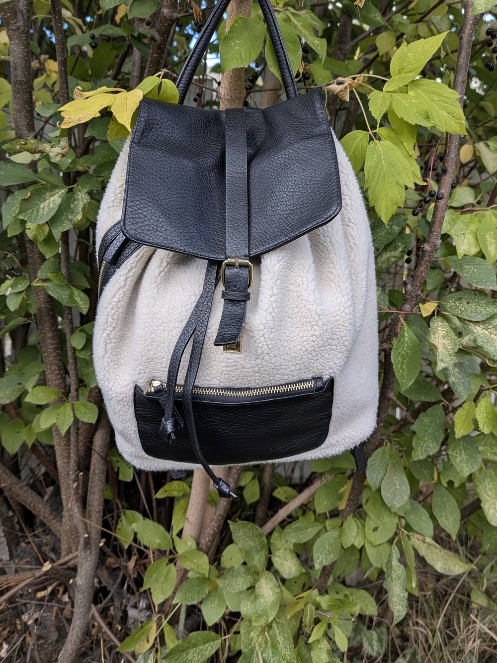 Indigo Cozy Chic Faux Shearling Sherpa Backpack Black Leather Buckle Daypack - Picture 12 of 14
